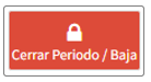 01_07_06_cerrar_periodo.png