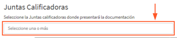 4_1_1_1_6_seleccionar_junta.png