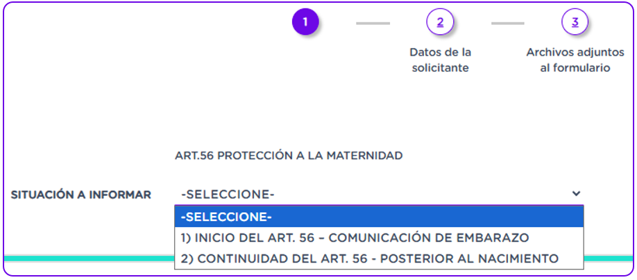 art_56_protecc_a_la_maternidad_seleccione.png