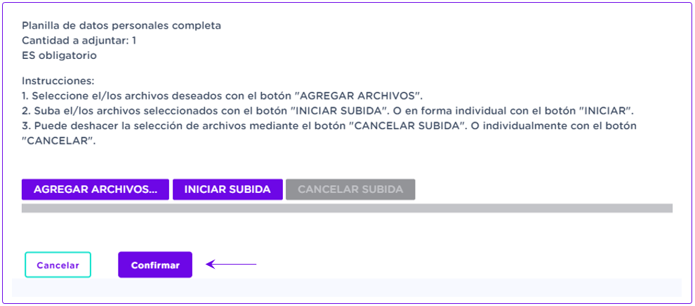 2_7_carga_archivos.png